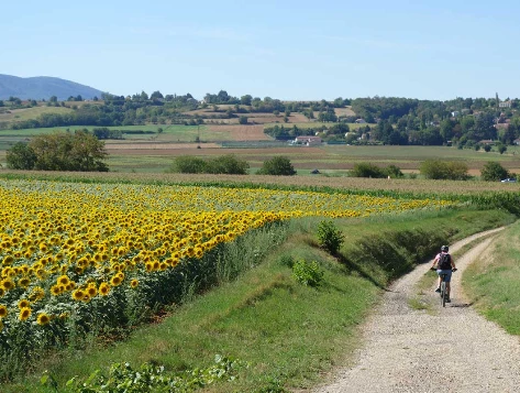 Compostelle à vélo : Genève - Le Puy - Photo 6