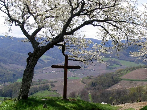 Tour du Beaujolais en Liberté - Photo 8