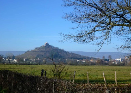 Tour du Beaujolais en Liberté - Photo 5