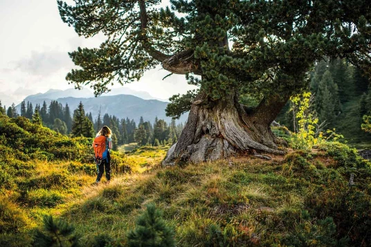 GTA : Lenk - Montreux en liberté - Photo 6