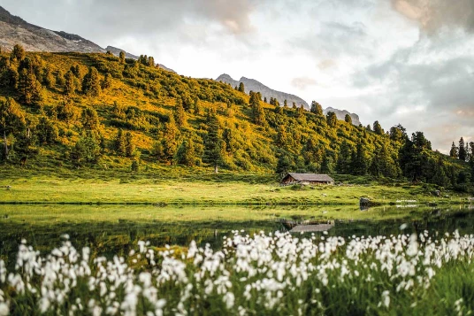 GTA : Lenk - Montreux en liberté - Photo 11