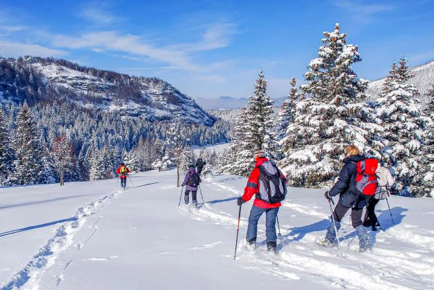 Tour de Chartreuse en gîtes - hiver - Photo 5