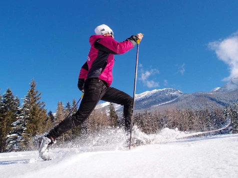 Vercors : Initiation au ski de randonnée nordique - Photo 2
