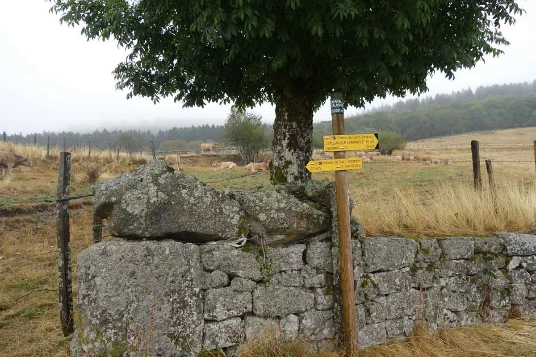 Compostelle à vélo : Le Puy - Cahors - Photo 13