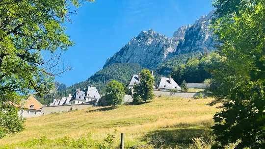 Mini Tour de Chartreuse en Liberté - Photo 3