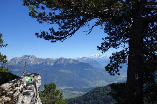 Rando & Bien Etre dans les Bauges - Photo 4