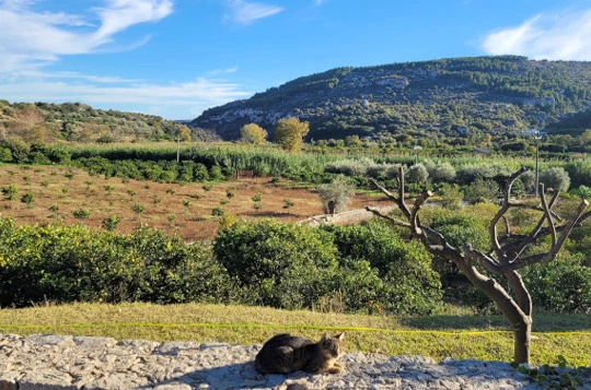 Sicile baroque, Syracuse et le Val de Noto - Photo 5