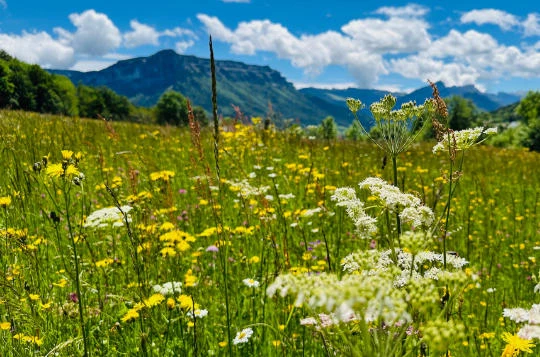 Rando ET oxygène en Chartreuse - Photo 3