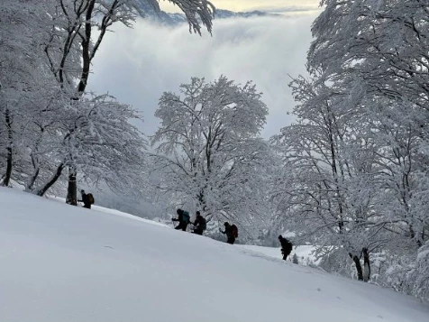 Chartreuse : vallons et Alpages - Photo 5