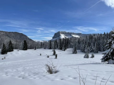 Chartreuse : vallons et Alpages - Photo 6