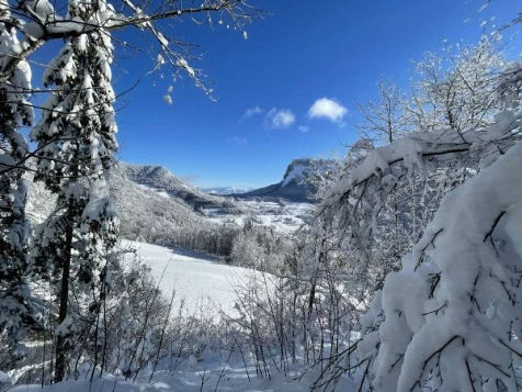 Chartreuse : vallons et Alpages - Photo 4