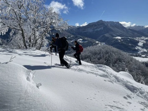 Chartreuse : vallons et Alpages - Photo 1