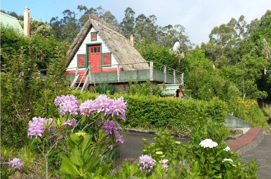 MADERE EN LIBERTE - Photo 4