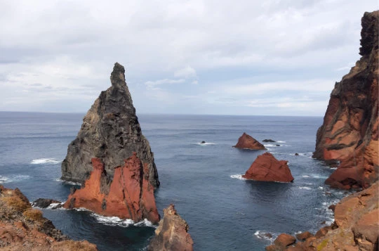 MADERE EN LIBERTE - Photo 6