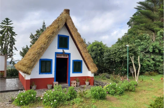 MADERE EN LIBERTE - Photo 7