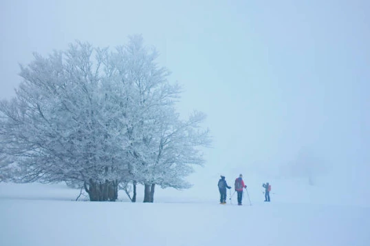WE Réveillon Trappeur en Vercors - Photo 3