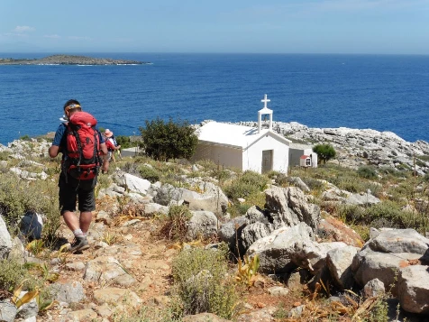 Crête en liberté - Photo 5