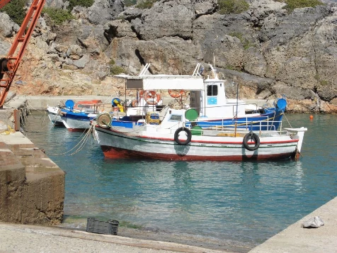 Crête en liberté - Photo 3