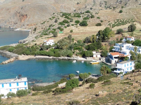 Crête en liberté - Photo 1