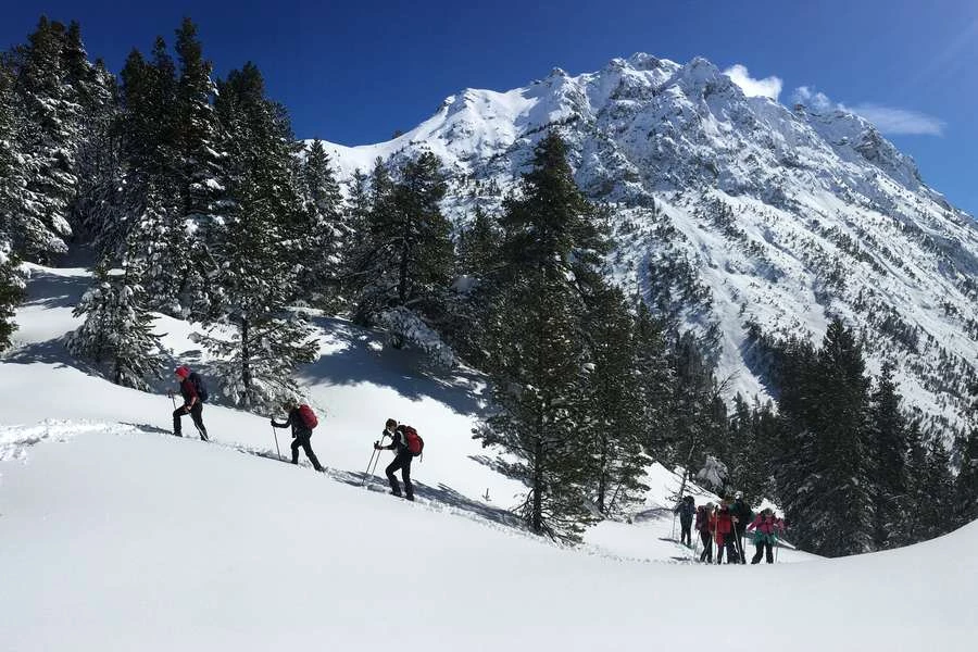 Raquette sauvage en Clarée - Photo 1