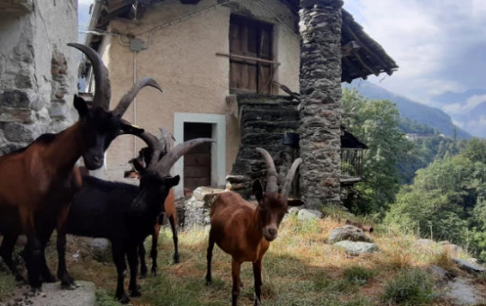 Randonnée en Val d'Aoste - Photo 5