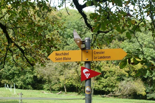 Sur les Pas des Huguenots : Yverdon - Soleure (Suisse) - Photo 5