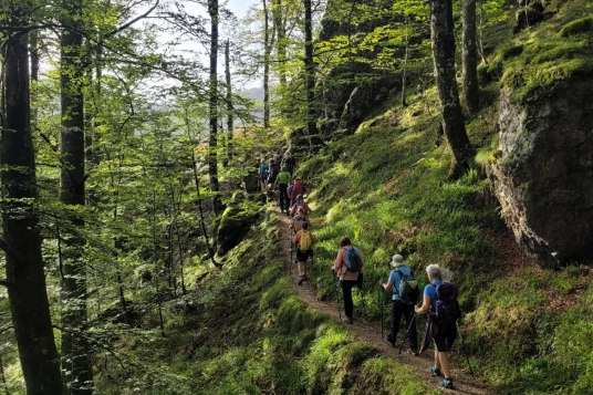 Paysages et Terroirs du Pays Basque - Photo 8