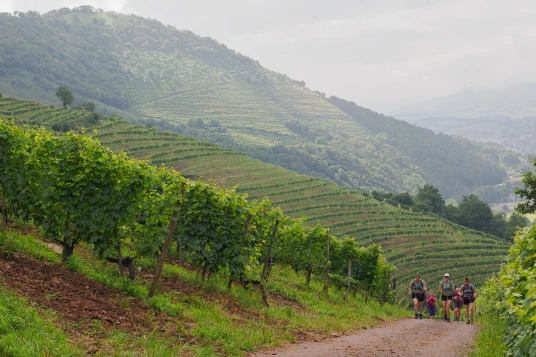 Paysages et Terroirs du Pays Basque - Photo 7