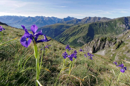 Les Hauts Sommets d'Andorre - Photo 10