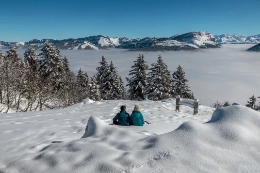 WE Réveillon Chartreuse - Photo 6