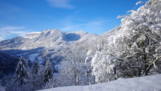 WE Réveillon Chartreuse - Photo 10