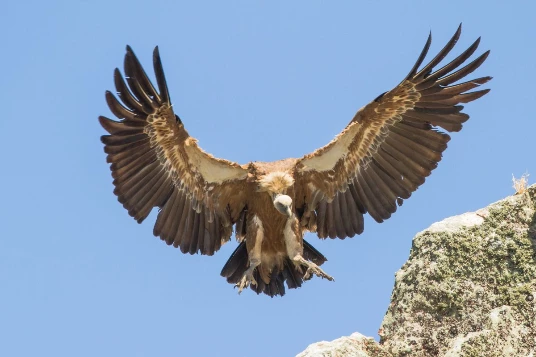 Escapade en Lozère Famille en liberté - Photo 5