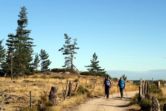 Compostelle à pied et en bus : Le Puy - St Jean Pied de Port - Photo 6