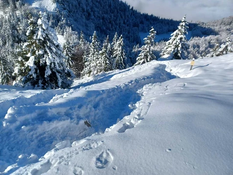 Traversée du Chablais - Photo 8