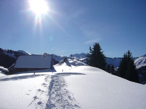 Raquettes & Bien Etre au Pays du Leman - Photo 2