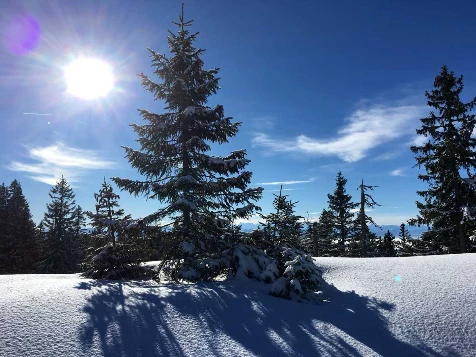 WE Réveillon Trappeur Jura - Photo 5