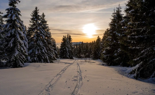 Traversée des Crêtes du Jura - Photo 3