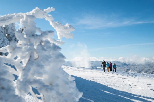Aventure nordique en Vercors (sportif) - Photo 4