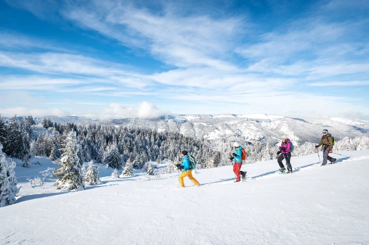 Raquettes & Bien Etre dans le Vercors - Photo 9