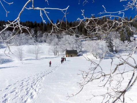 Raquettes & Bien Etre dans le Vercors - Photo 10