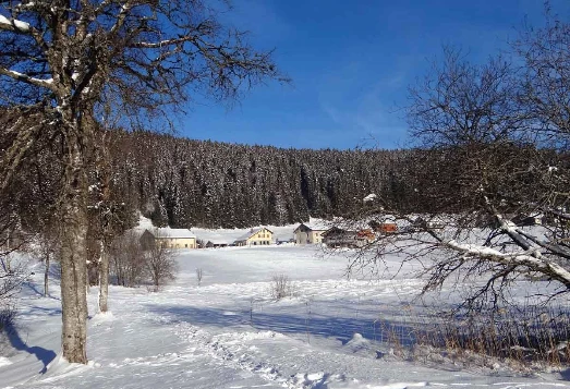 Grande Traversée du Jura en Liberté - Photo 2