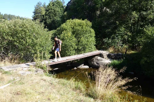 Chemins de Compostelle : Le Puy - Nasbinals - Photo 10