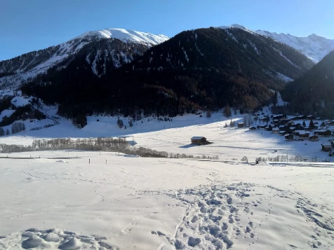 Raquettes & Bien Etre à Aletsch - Liberté - Photo 5