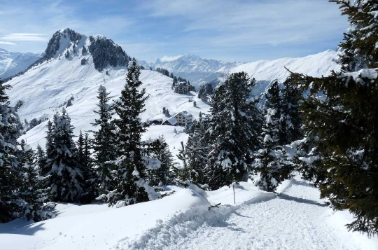 Raquettes & Bien Etre à Aletsch - Liberté - Photo 4