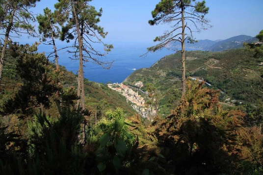 Réveillon dans les Cinque Terre - Photo 6