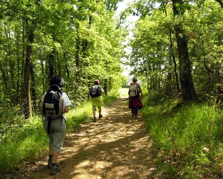 Chemins de Compostelle : Le Puy - Conques - Photo 4