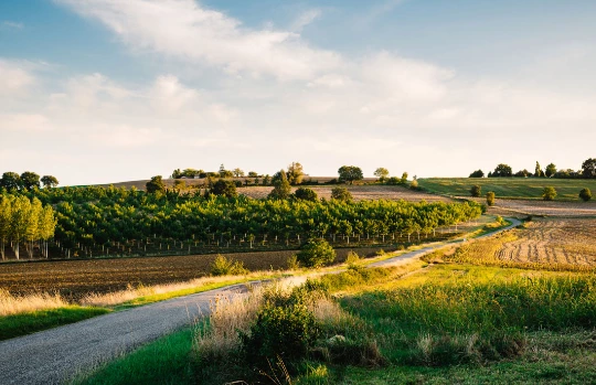 Chemins de Compostelle : Lectoure - Aire sur Adour - Photo 10