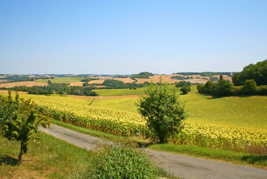 Chemins de Compostelle : Lectoure - Aire sur Adour - Photo 6