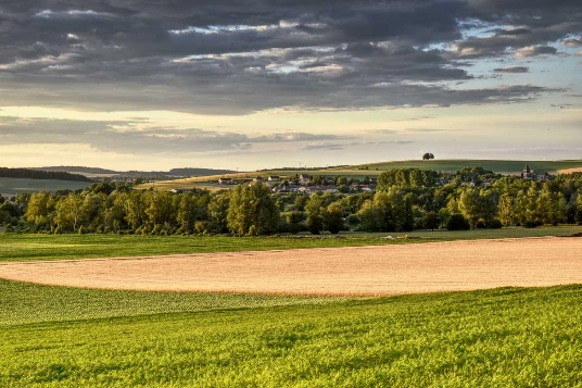 Chemins de Compostelle : Lectoure - Aire sur Adour - Photo 10