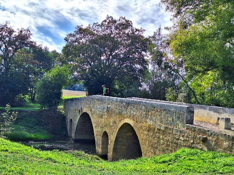 Chemins de Compostelle : Lectoure - Aire sur Adour - Photo 12
